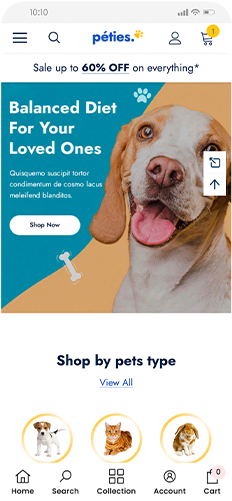 Insame Shopify Landing Page