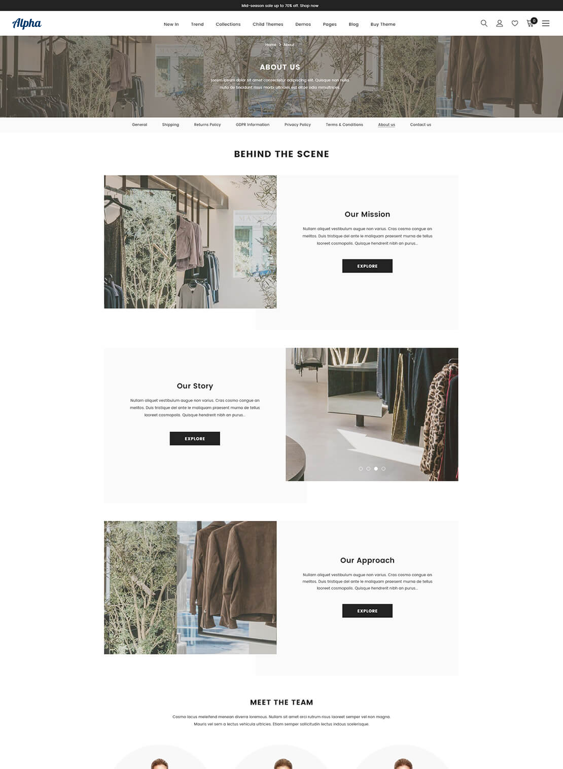 Insame Other Page - About Layout 2