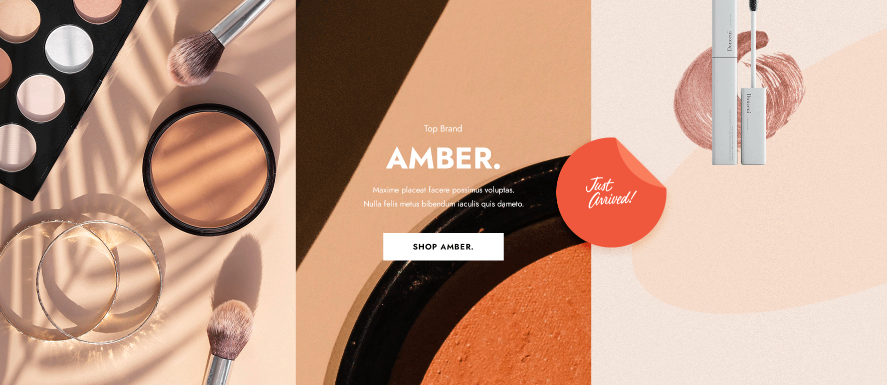 Insame - HTML Template
