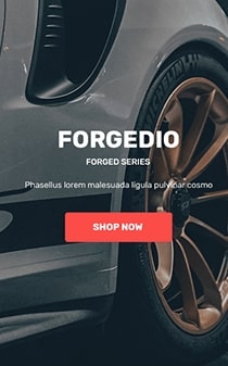 Insame - HTML Template