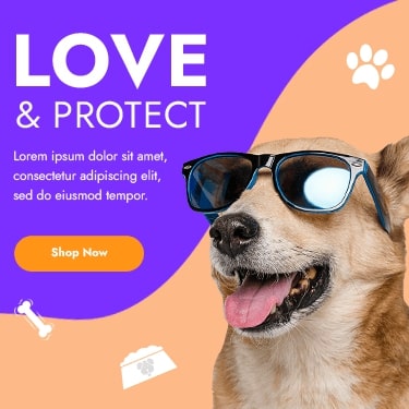 Insame - HTML Template