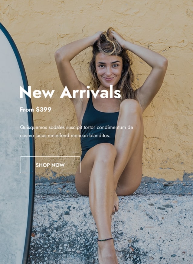 Insame - HTML Template