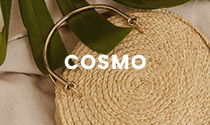 Insame - HTML Template